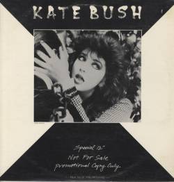 Kate Bush : Selections from the Dreaming